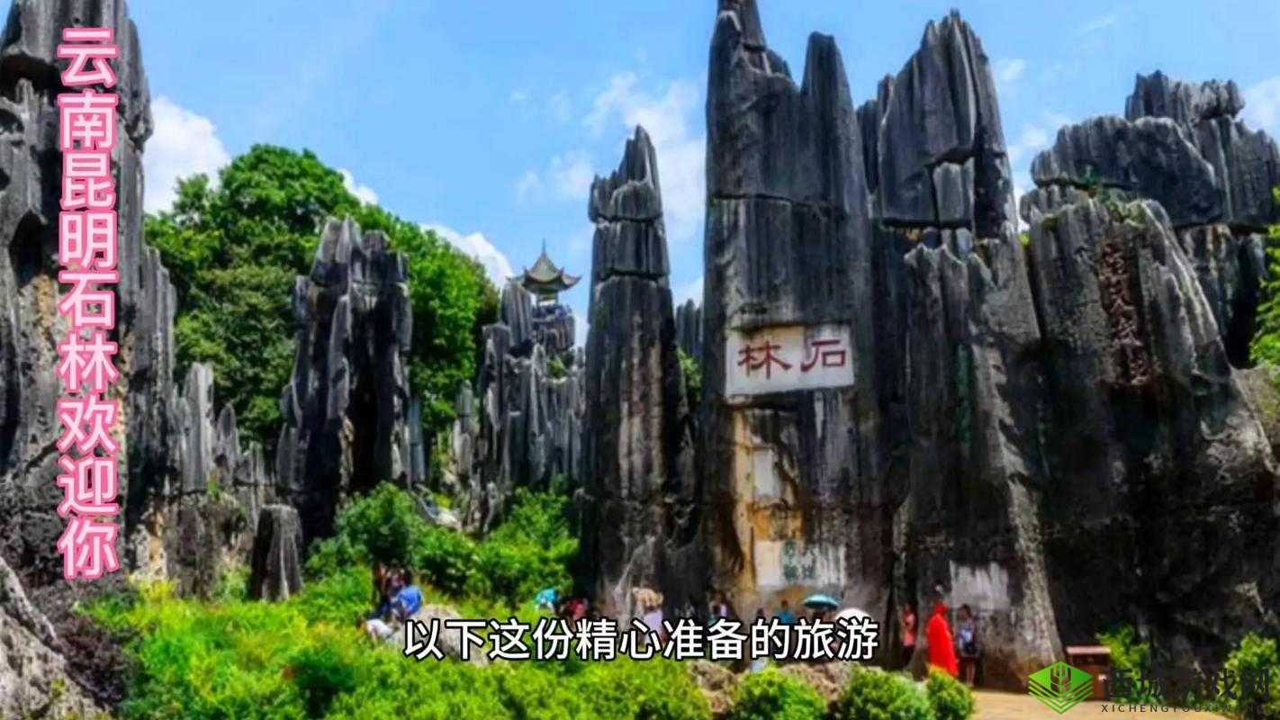 国产一区二区区别：探寻其中的差异