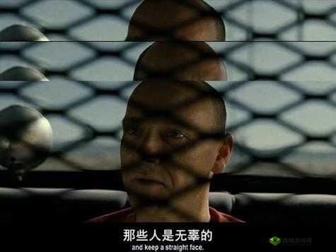 jy 灌溉收集系统顾清的独特应用与发展