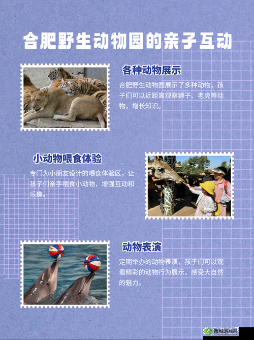 动物安排员第19关三星通关难倒你？深度图文攻略来揭秘！